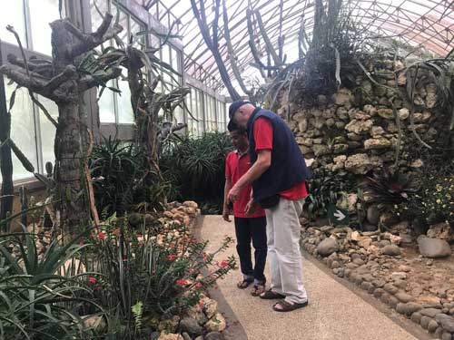 Uitje botanische tuin en boottochtje